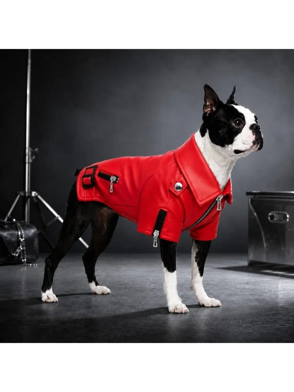 Stylish Dog Leather Jacket - Warm Windproof Coat for Small to Large Dogs, Red XS